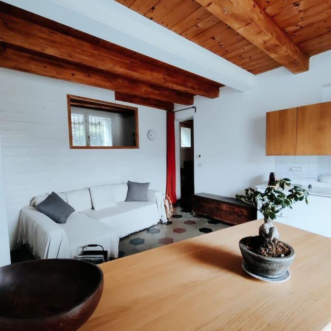 Appartement Casasassi à Turin Extérieur photo
